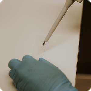DNA Fragmentation Test Advanced Testing